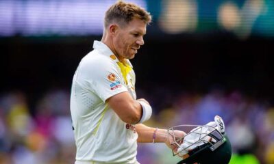 David Warner