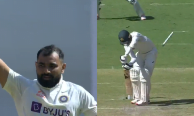 Mohammed Shami uproots off stump