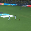 Dog in the feild during an ITL 2023 fixture