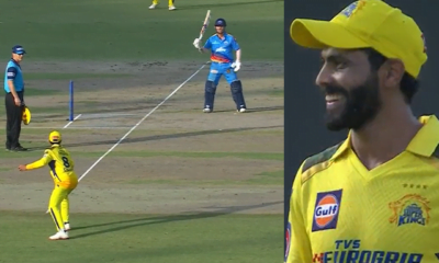 Jadeja's reaction Warner's sword celebration