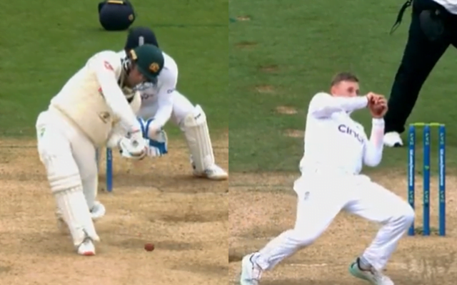 Joe Root's splendid catch to dismiss Alex Carey