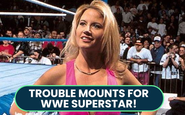 Former WWE Superstar And Hall Of Famer Tammy Sytch Faces 25 Years Of ...