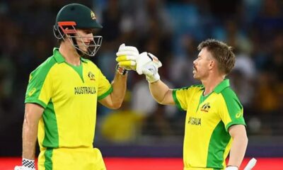 Mitchell Marsh and David Warner