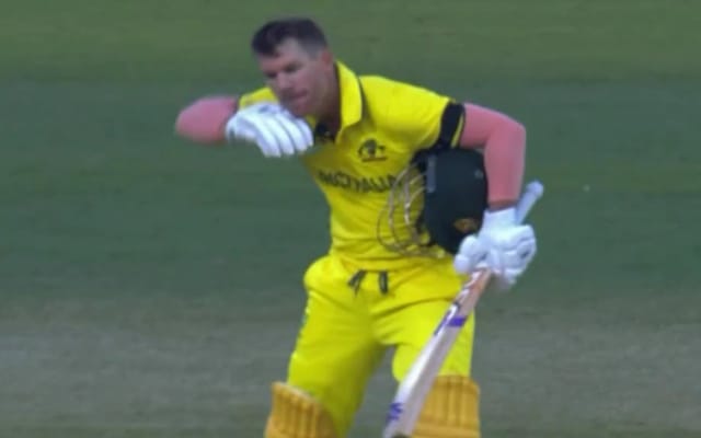 David Warner