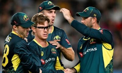 Australia sweep series against New Zealand