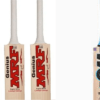 Top 5 most popular cricket bats